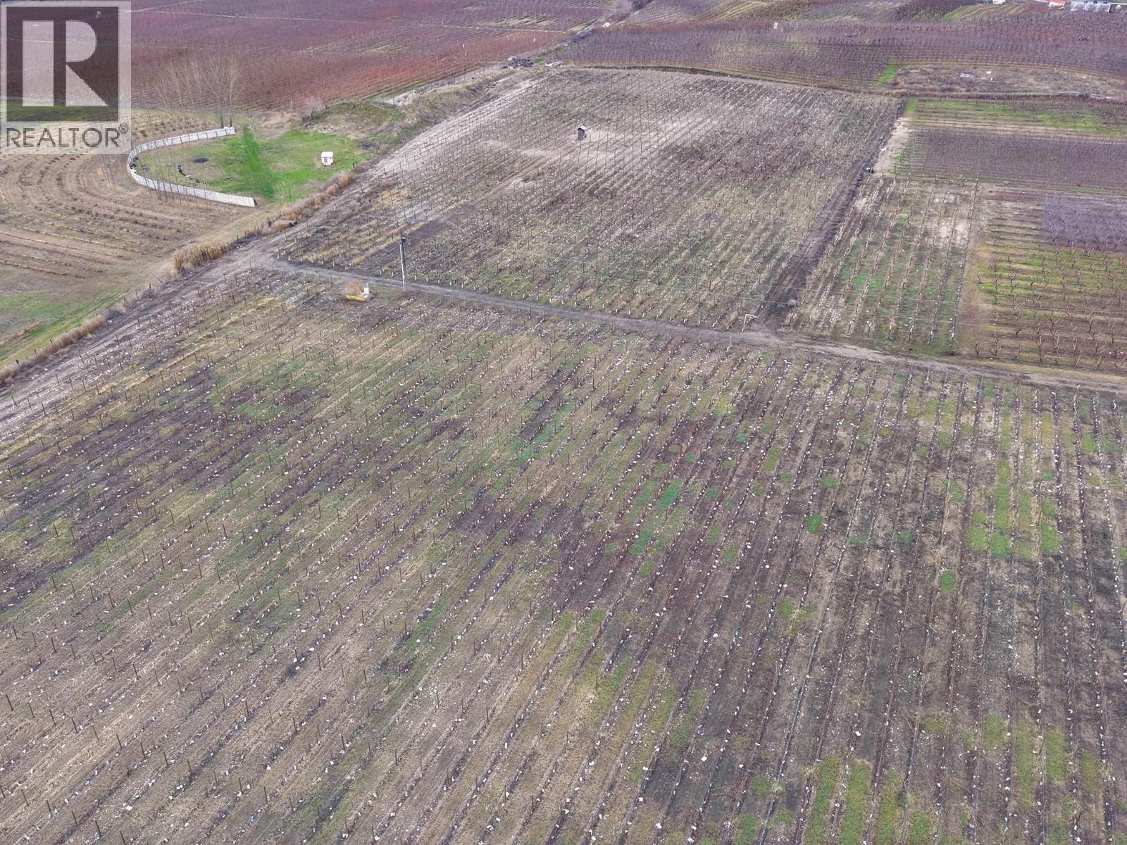 4253 Highway 97 Highway, Oliver, British Columbia  V0H 1T1 - Photo 7 - 10372304