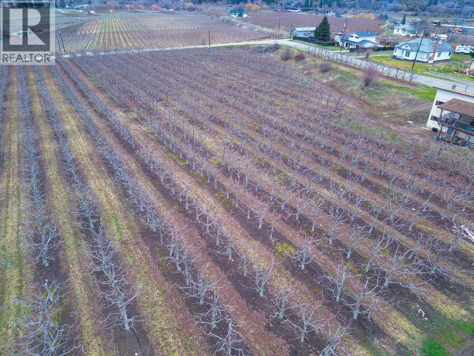 5676 Yarrow St Street, Oliver, British Columbia  V0H 1T9 - Photo 5 - 10373260