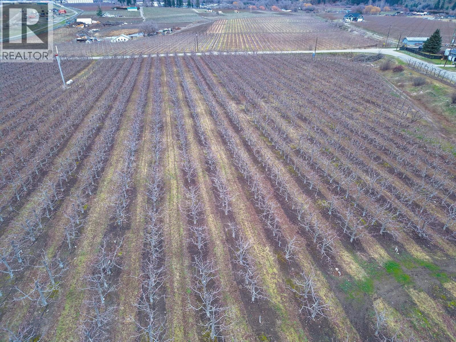 5676 Yarrow St Street, Oliver, British Columbia  V0H 1T9 - Photo 6 - 10373260