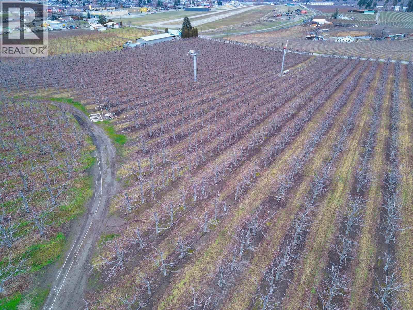 5676 Yarrow St Street, Oliver, British Columbia  V0H 1T9 - Photo 7 - 10373260