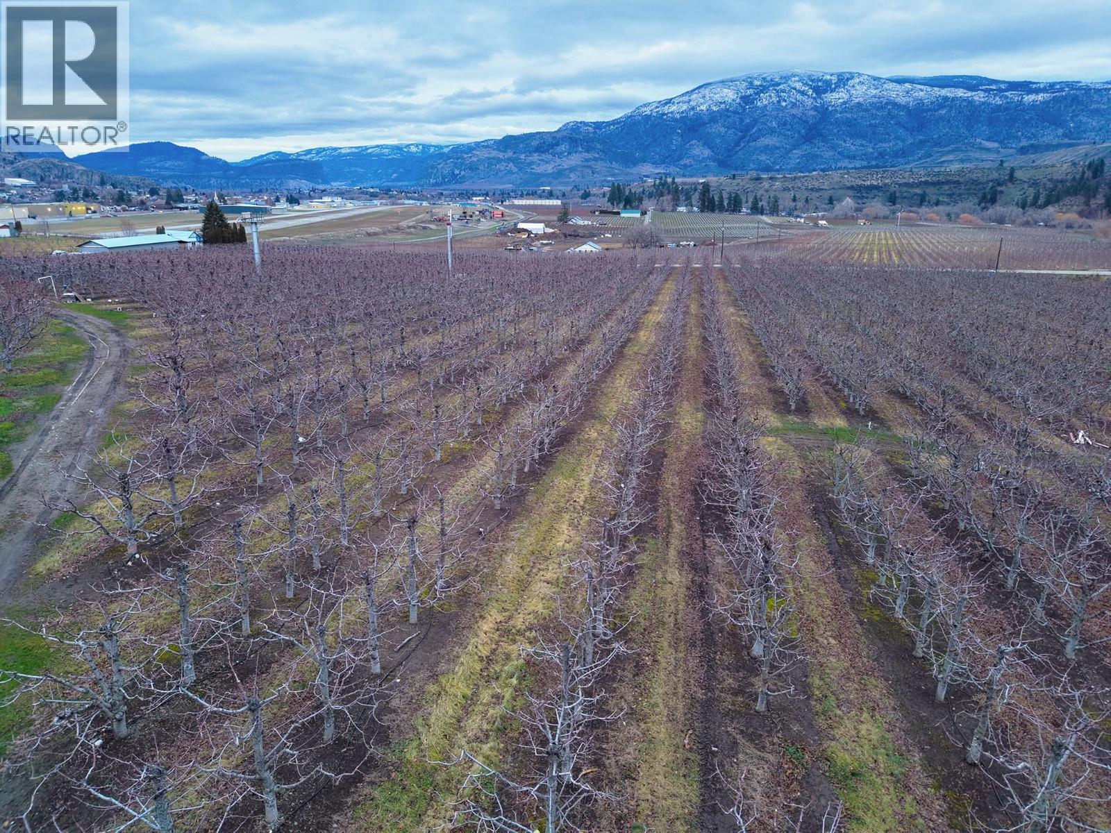 5676 Yarrow St Street, Oliver, British Columbia  V0H 1T9 - Photo 8 - 10373260