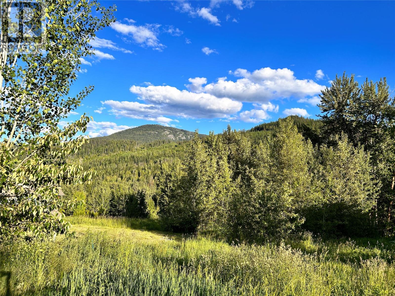 917 Redstone Drive, rossland, British Columbia