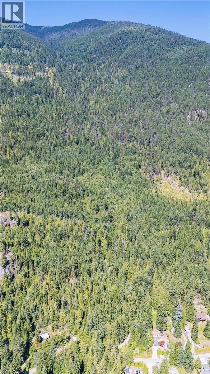 5631 Longbeach Road, Nelson, British Columbia  V1L 6N9 - Photo 91 - 10374255