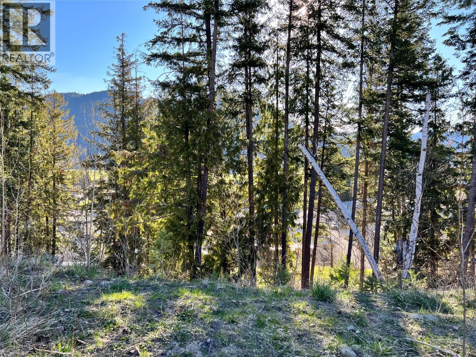 2541 Cedar Ridge Court, Lumby, British Columbia  V0E 2G0 - Photo 2 - 10374503