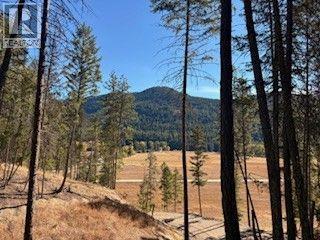 5600 Christian Valley Road, Westbridge, British Columbia  V0H 1Y0 - Photo 4 - 10374716