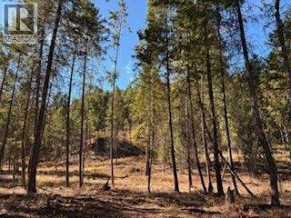 5600 Christian Valley Road, Westbridge, British Columbia  V0H 1Y0 - Photo 8 - 10374716