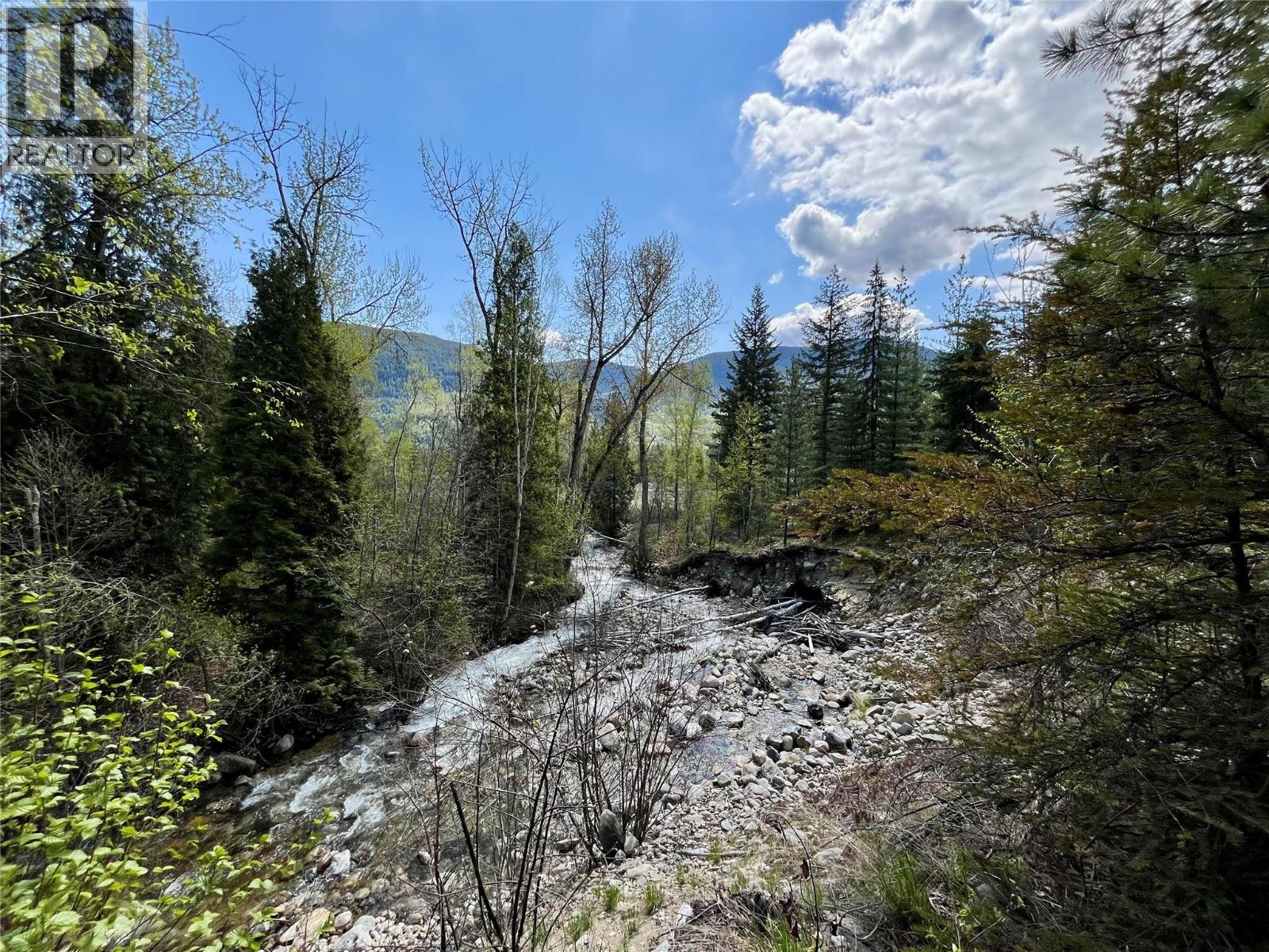 9100 Highway 22 Highway, Genelle, British Columbia  V0G 1G0 - Photo 10 - 10374759
