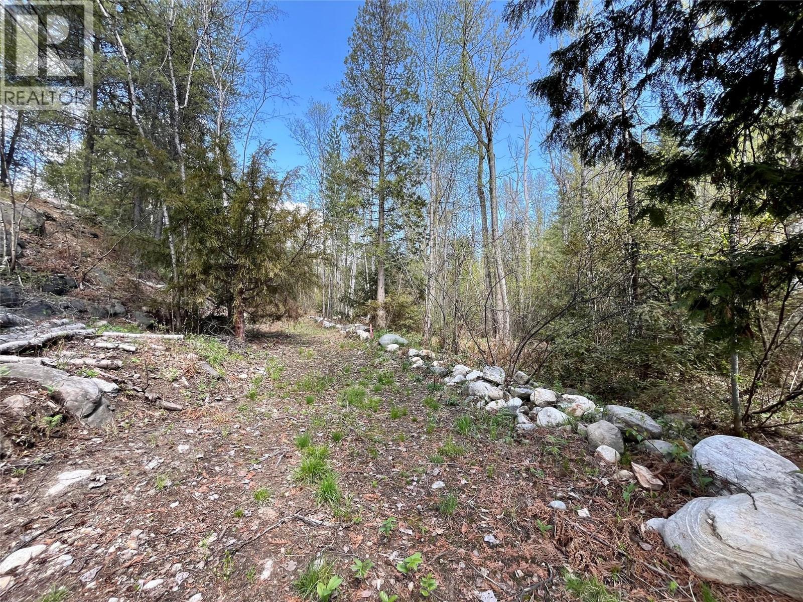 9100 Highway 22 Highway, Genelle, British Columbia  V0G 1G0 - Photo 19 - 10374759