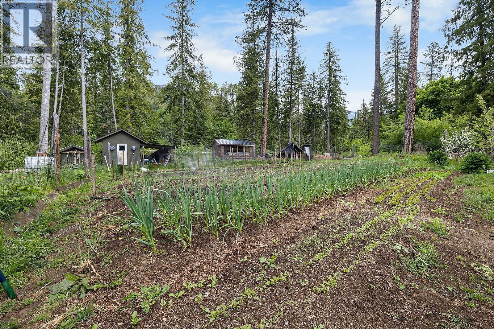 16317 Bowe Road, Crawford Bay, British Columbia  V0B 1E0 - Photo 33 - 10374938