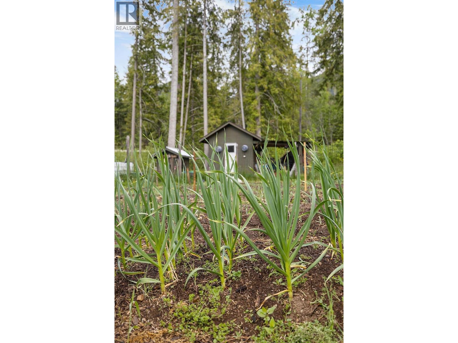 16317 Bowe Road, Crawford Bay, British Columbia  V0B 1E0 - Photo 4 - 10374938