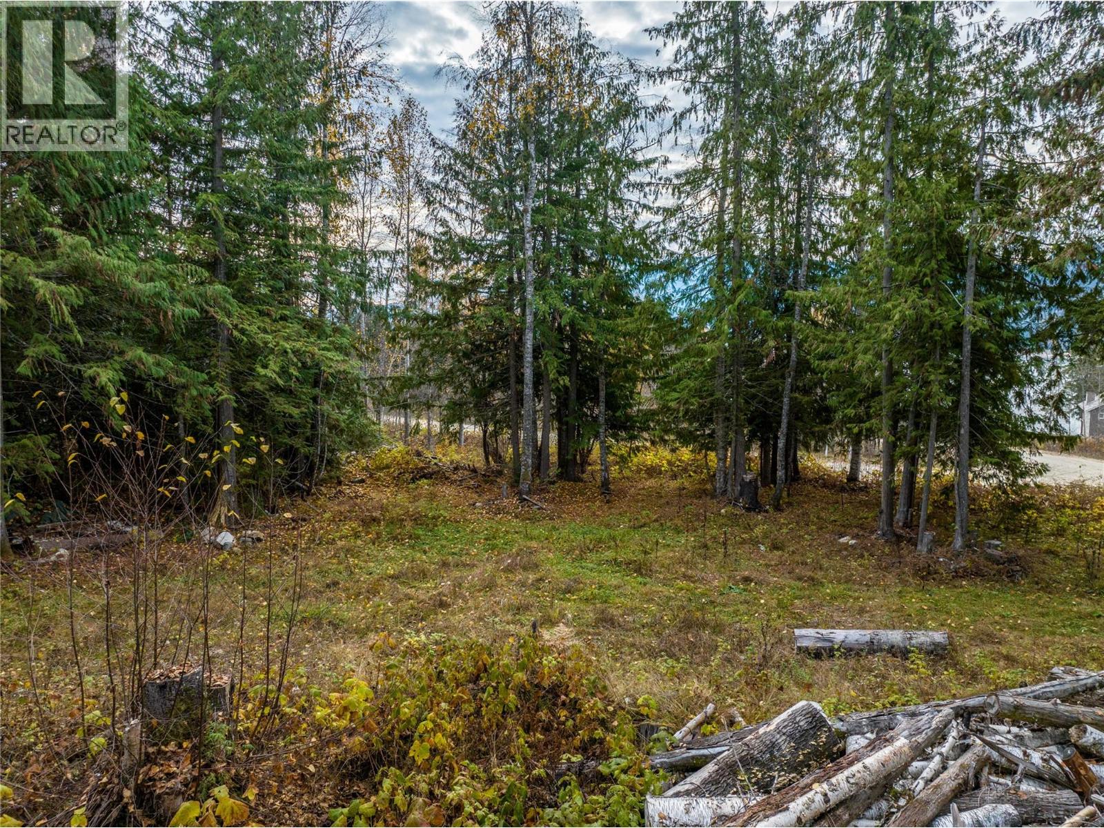 424 Galena Shores Drive, Galena Bay, British Columbia  V0G 1R0 - Photo 45 - 10374300