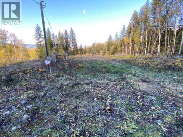 450 Dunn Lake Road, Clearwater, British Columbia  V0E 1N0 - Photo 3 - 10374998