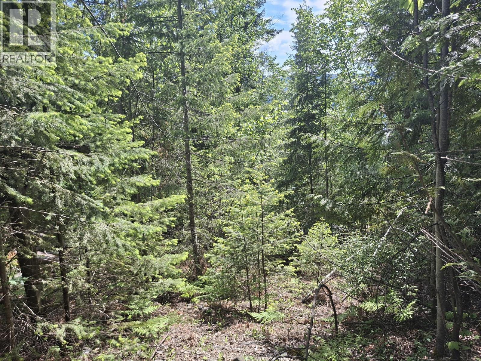 Lot 69 Castle Heights, Anglemont, British Columbia  V0E 1M8 - Photo 6 - 10374807
