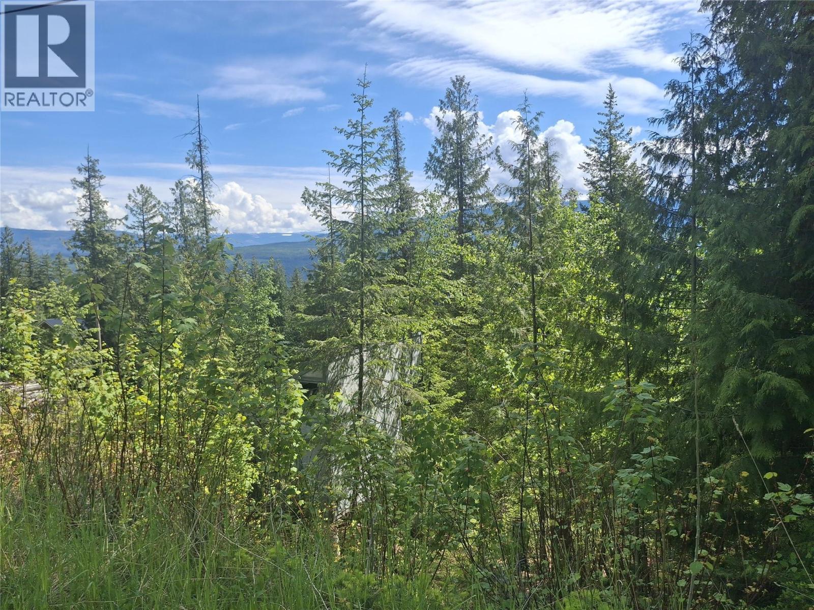 Lot 69 Castle Heights, Anglemont, British Columbia  V0E 1M8 - Photo 7 - 10374807