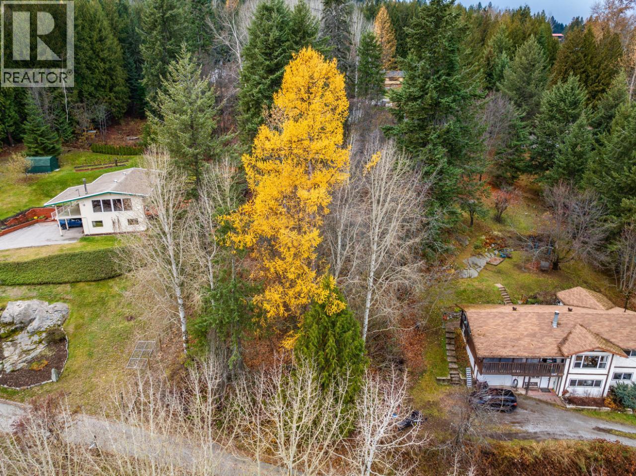 1101 Spokane Street, Rossland, British Columbia  V0G 1Y0 - Photo 4 - 10374979