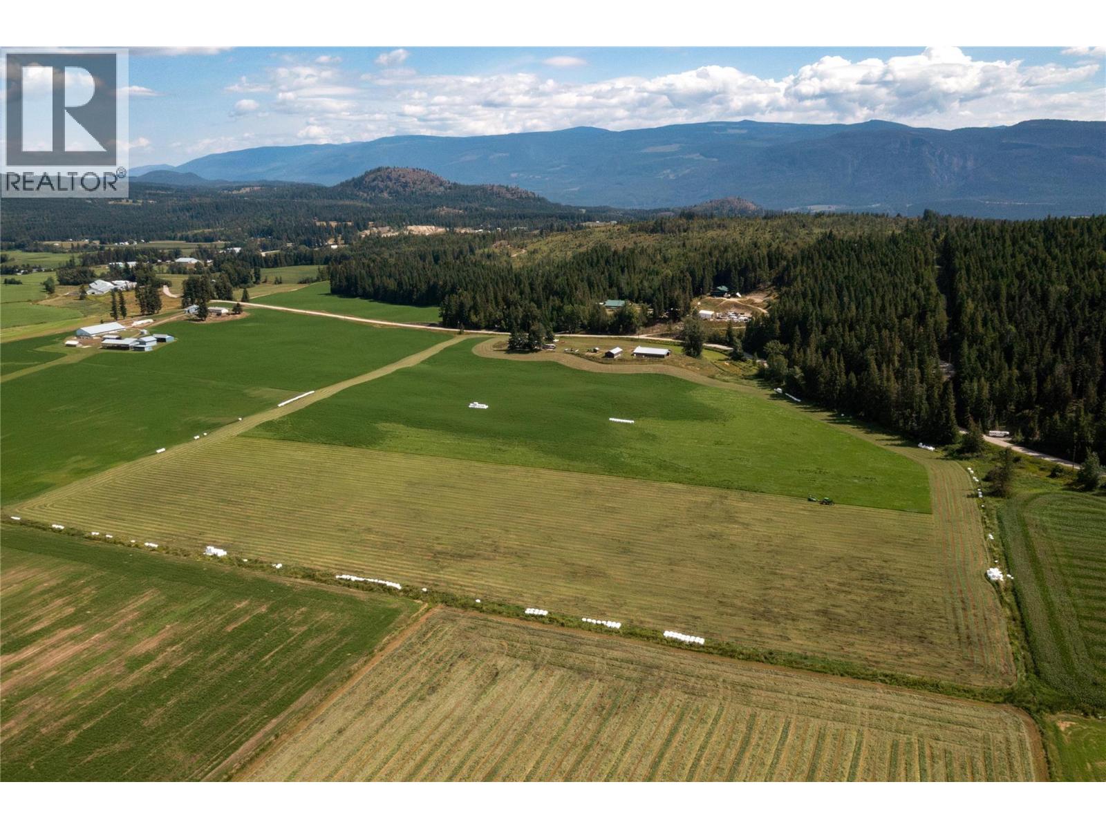 414 Mallory Road, Enderby, British Columbia  V4Y 4H9 - Photo 32 - 10375007