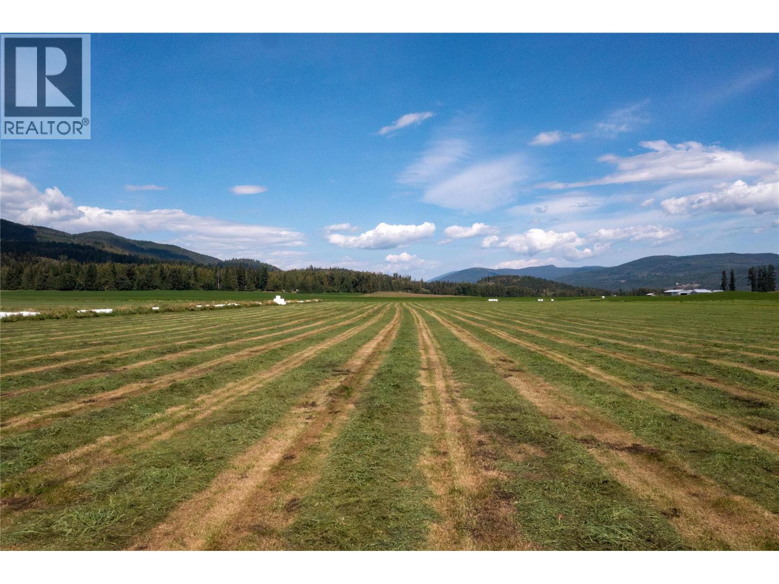 414 Mallory Road, Enderby, British Columbia  V4Y 4H9 - Photo 33 - 10375007