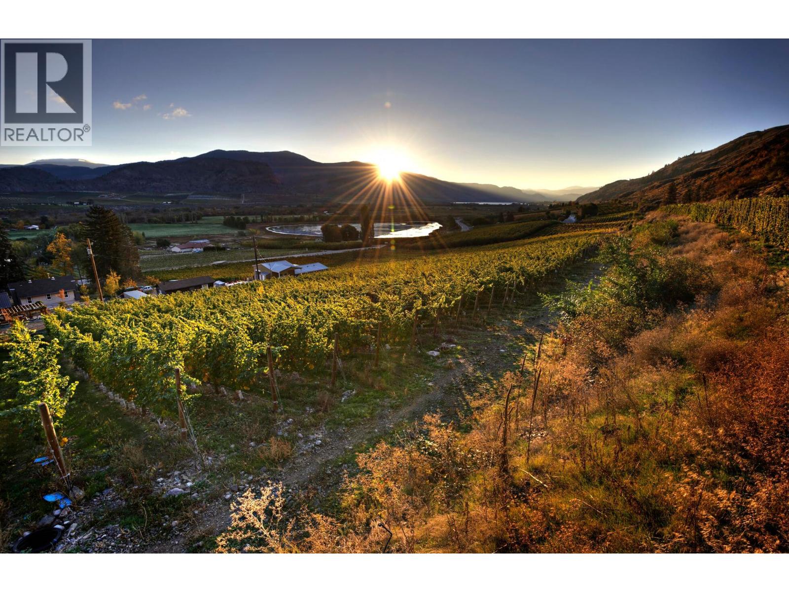 3974 Hwy 97 Highway, Oliver, British Columbia  V0H 1T1 - Photo 2 - 10374333