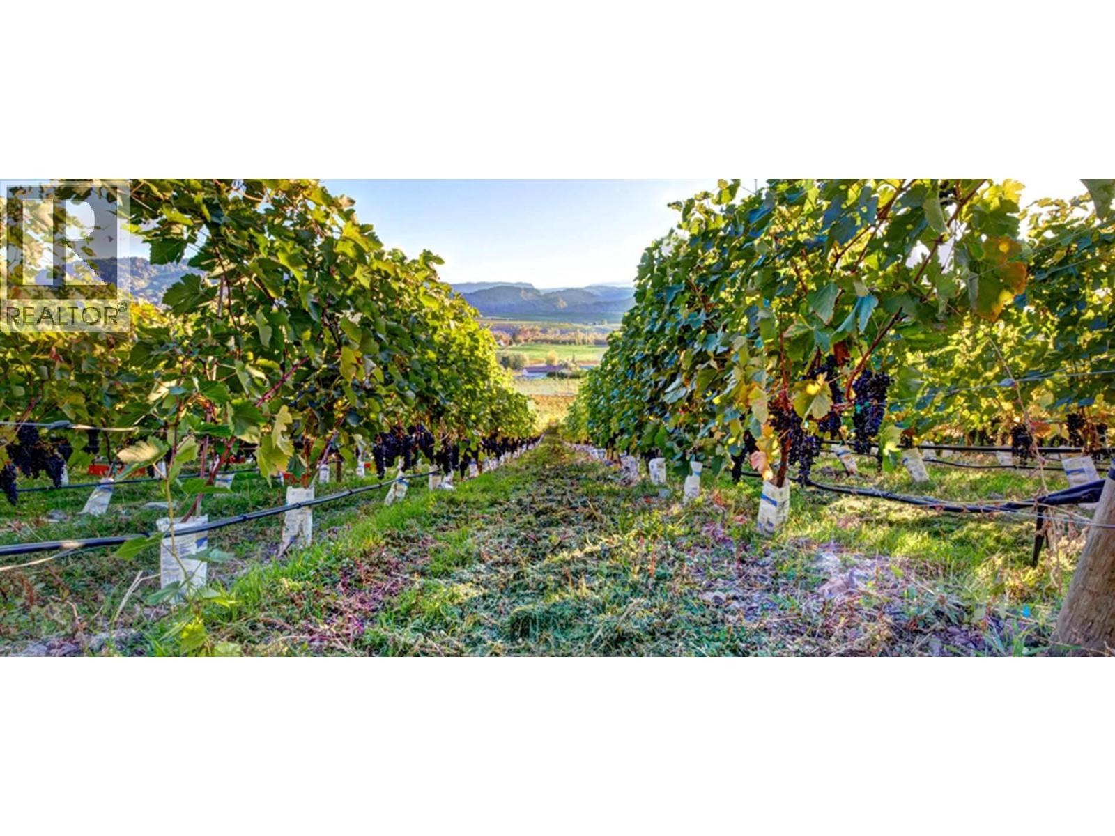 3974 Hwy 97 Highway, Oliver, British Columbia  V0H 1T1 - Photo 45 - 10374333