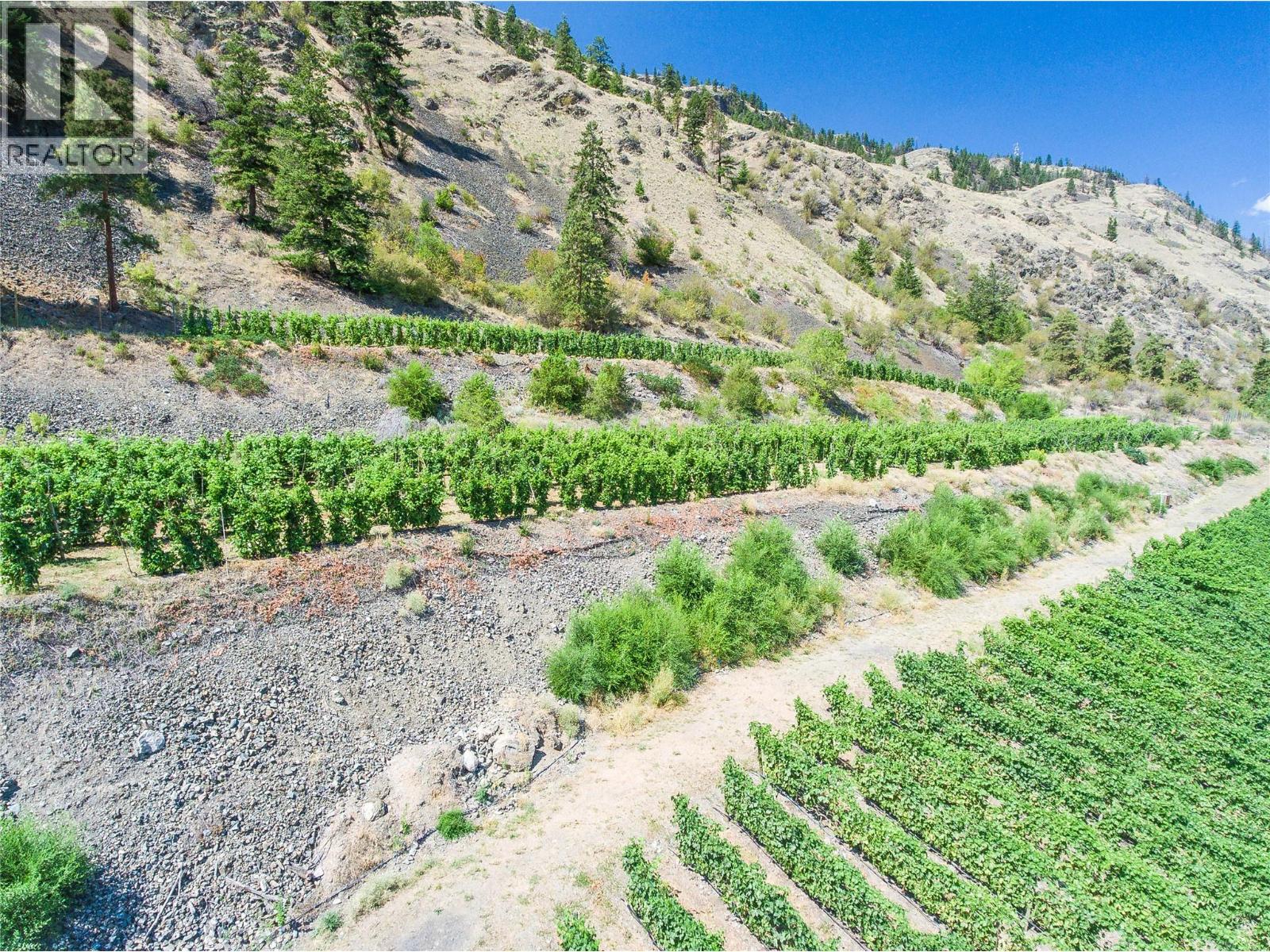 3974 Hwy 97 Highway, Oliver, British Columbia  V0H 1T1 - Photo 49 - 10374332