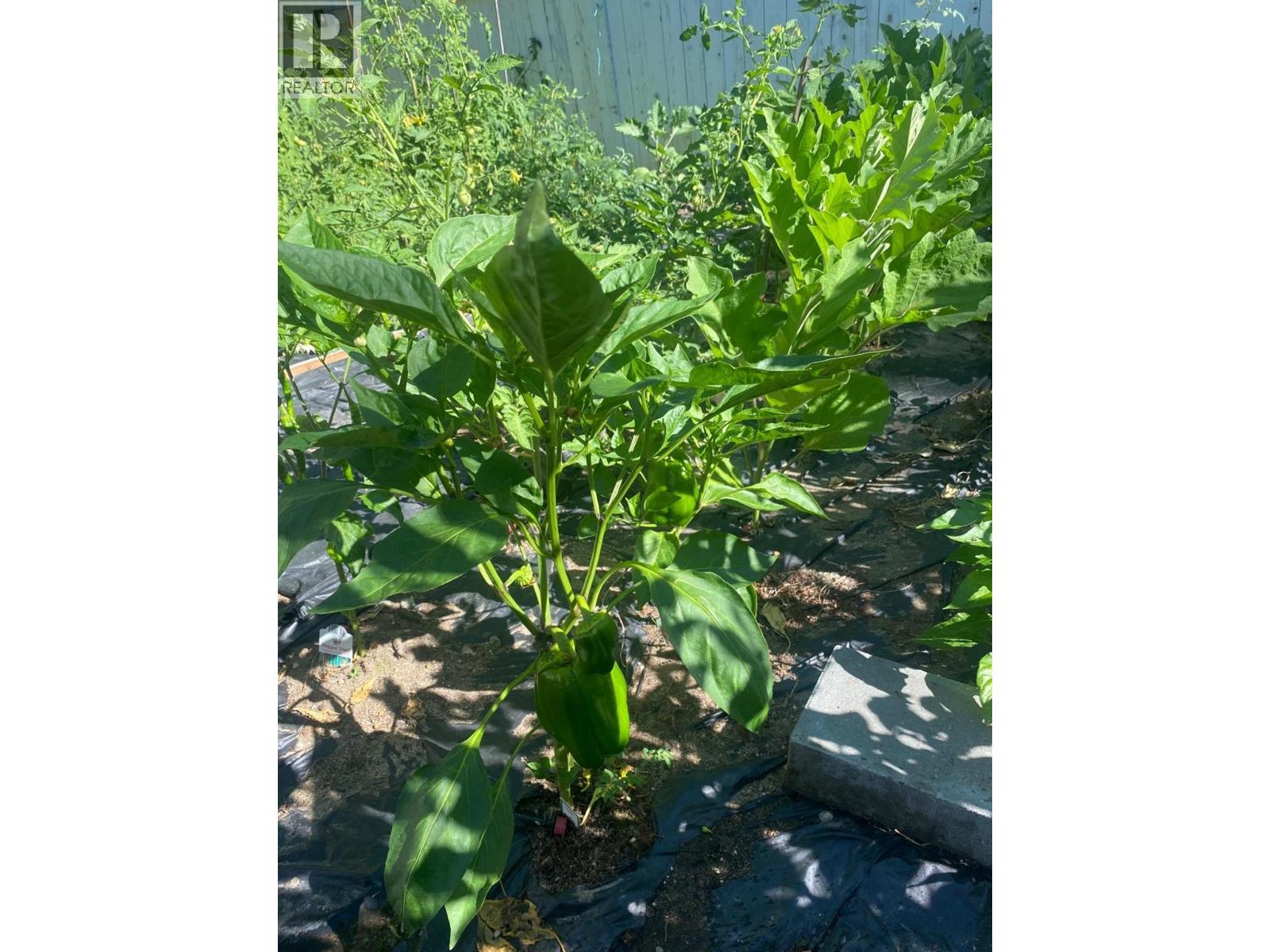 3245 Paris Street Unit# 31, Penticton, British Columbia  V2A 3T9 - Photo 14 - 10374996