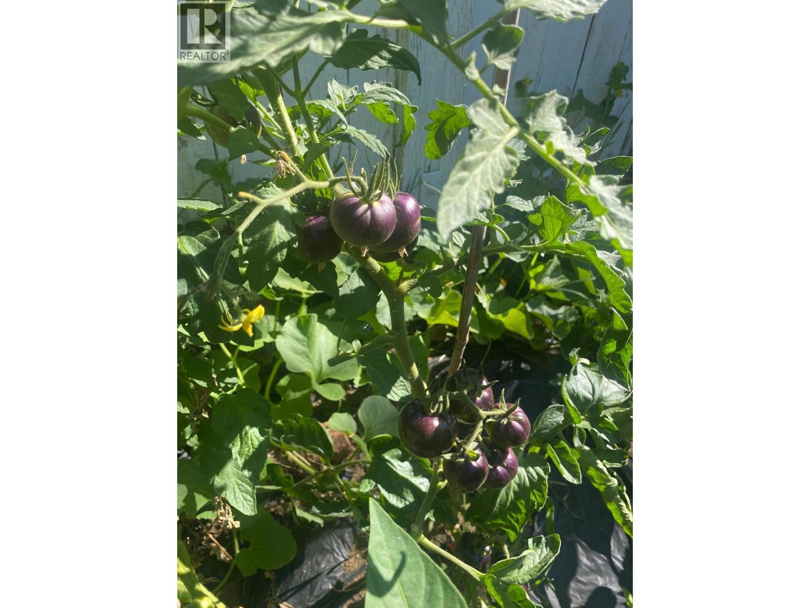 3245 Paris Street Unit# 31, Penticton, British Columbia  V2A 3T9 - Photo 15 - 10374996