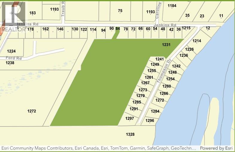 1231 Thompson Drive Lot# 1, Clearwater, British Columbia  V0E 1N2 - Photo 3 - 10375115