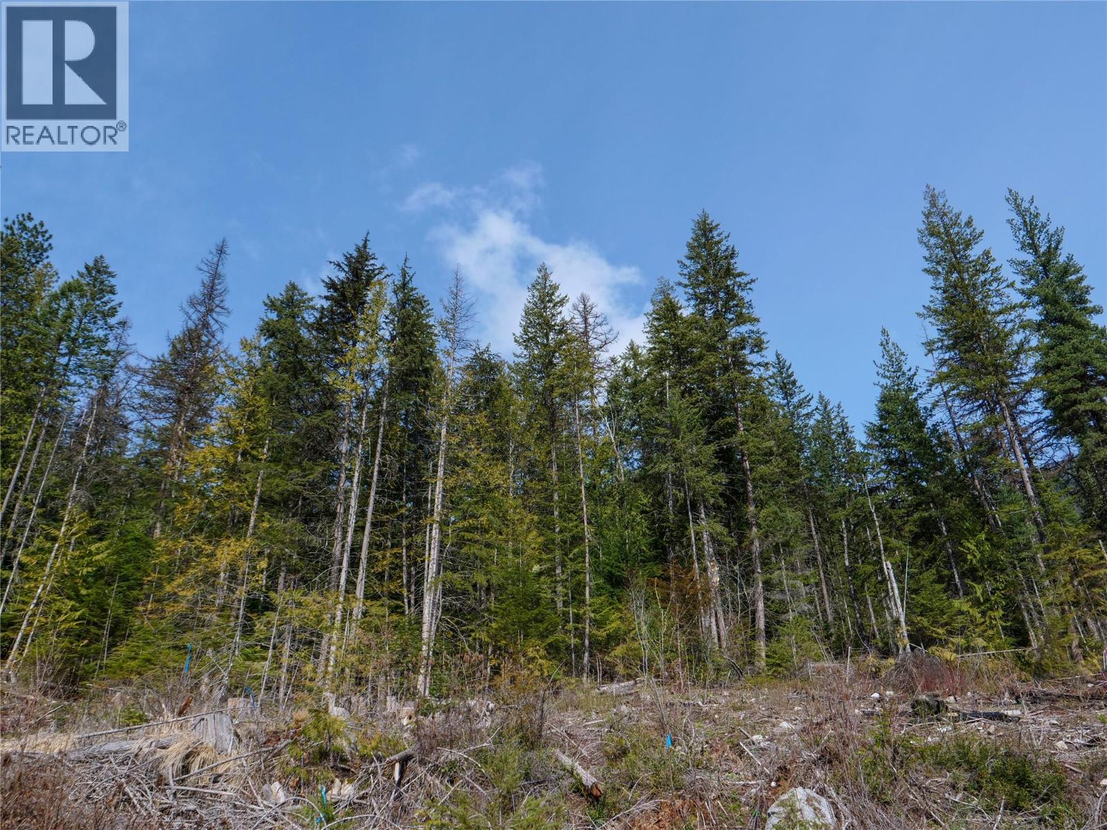 Lot 7 Annable Road, Nelson, British Columbia  V1L 6K5 - Photo 10 - 10374702