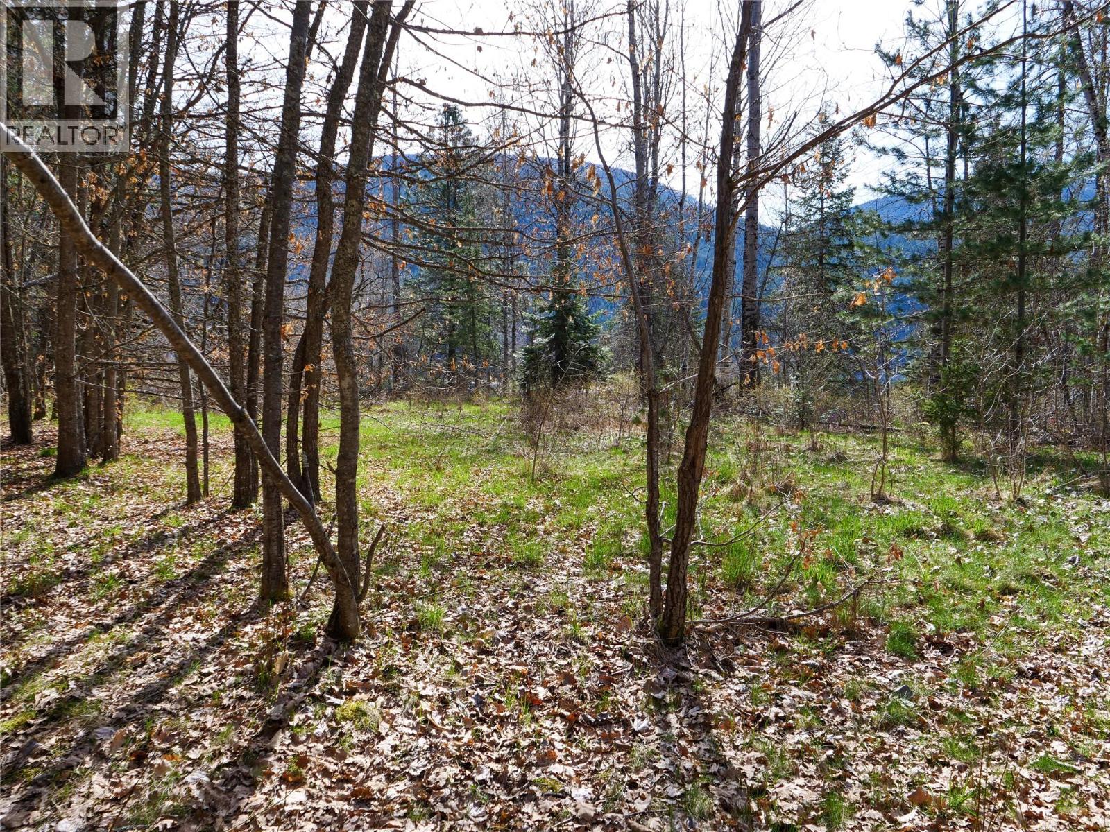 Lot 7 Annable Road, Nelson, British Columbia  V1L 6K5 - Photo 22 - 10374702
