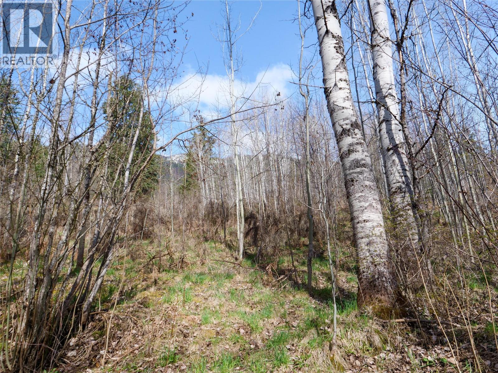Lot 7 Annable Road, Nelson, British Columbia  V1L 6K5 - Photo 25 - 10374702