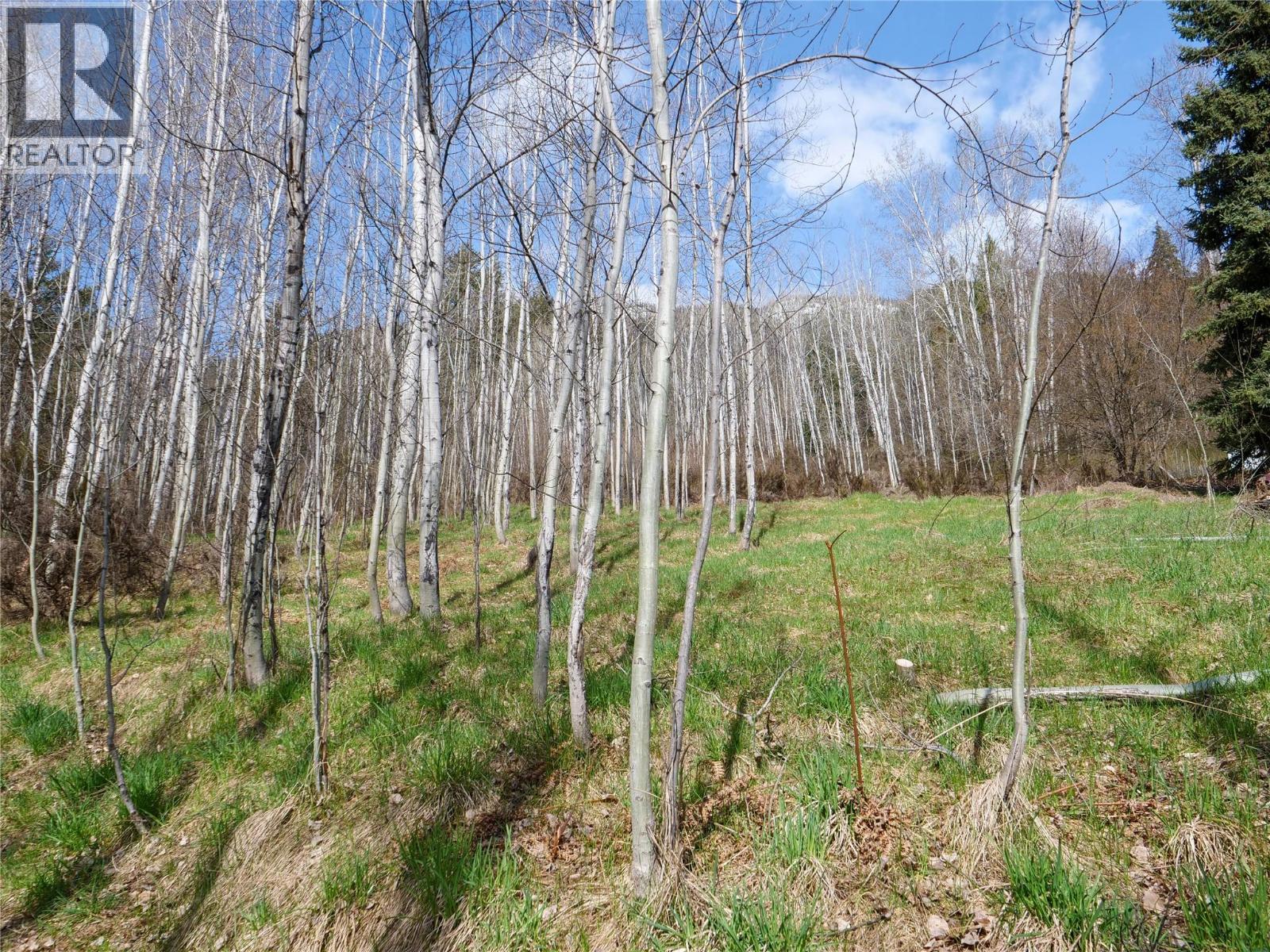 Lot 7 Annable Road, Nelson, British Columbia  V1L 6K5 - Photo 26 - 10374702