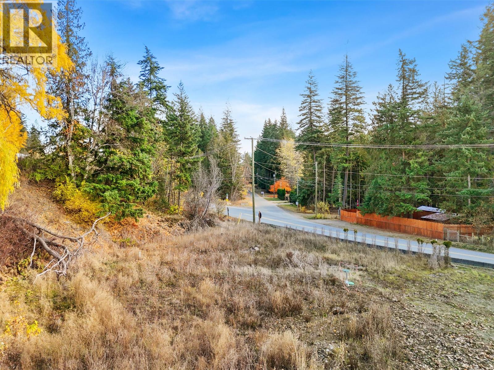 4177 Squilax-Anglemont Highway, Scotch Creek, British Columbia  V0E 1M5 - Photo 14 - 10373984
