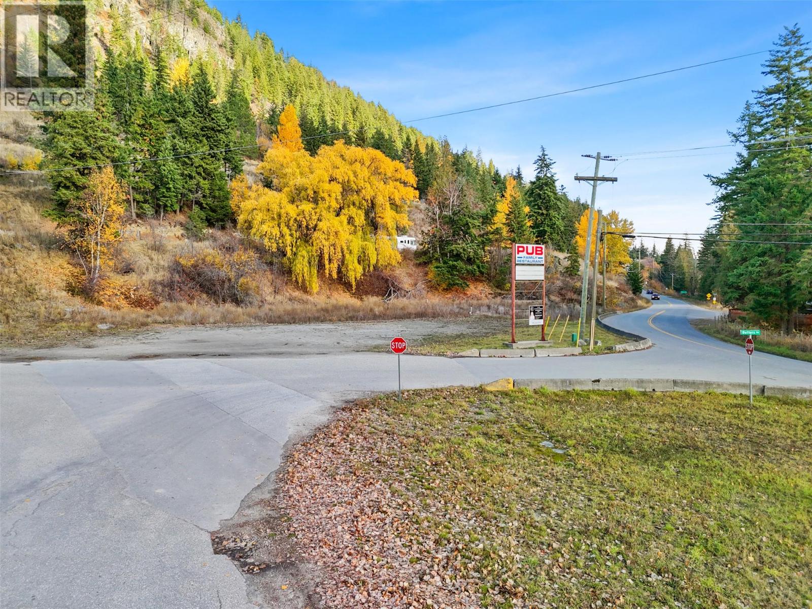 4177 Squilax-Anglemont Highway, Scotch Creek, British Columbia  V0E 1M5 - Photo 3 - 10373984