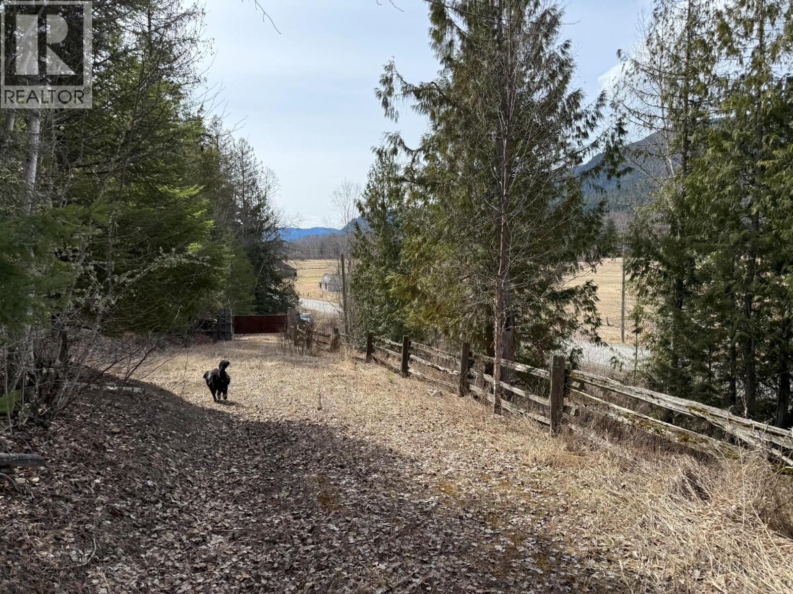 Lumby Mabel Lake Road Lot# Parcel A, Lumby, British Columbia  V0E 2G6 - Photo 22 - 10375063