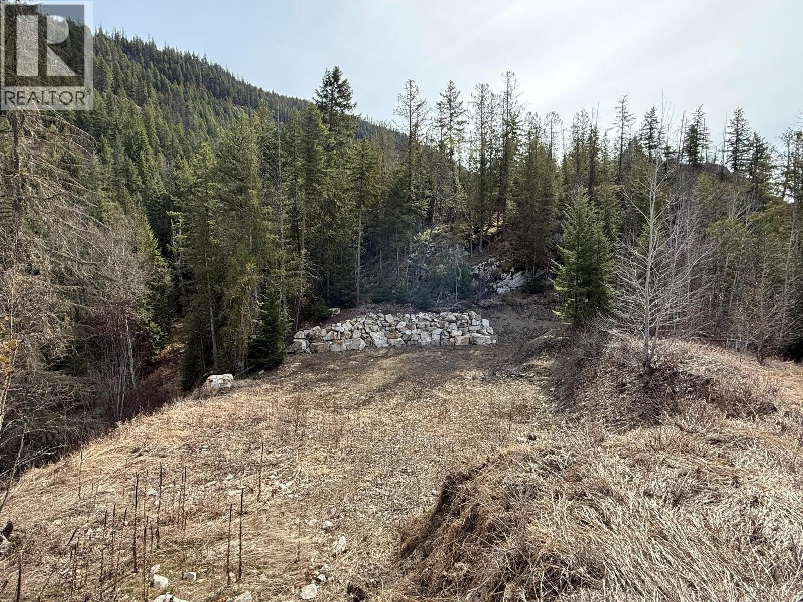 Lumby Mabel Lake Road Lot# Parcel A, Lumby, British Columbia  V0E 2G6 - Photo 27 - 10375063