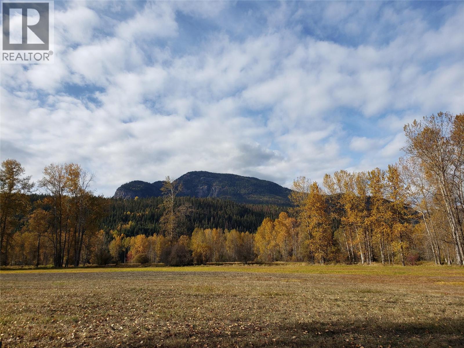 Lumby Mabel Lake Road Lot# Parcel A, Lumby, British Columbia  V0E 2G6 - Photo 29 - 10375063