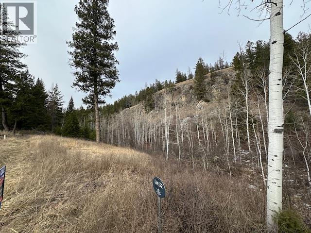 Mountain View Drive Lot# 32, Fairmont Hot Springs, British Columbia  V0B 1L1 - Photo 2 - 10375283