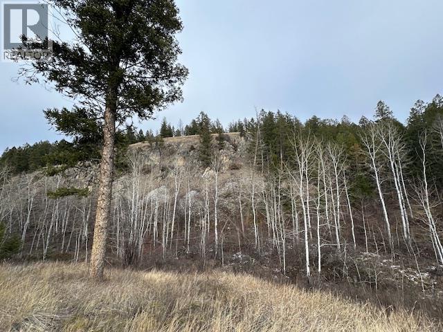 Mountain View Drive Lot# 32, Fairmont Hot Springs, British Columbia  V0B 1L1 - Photo 5 - 10375283