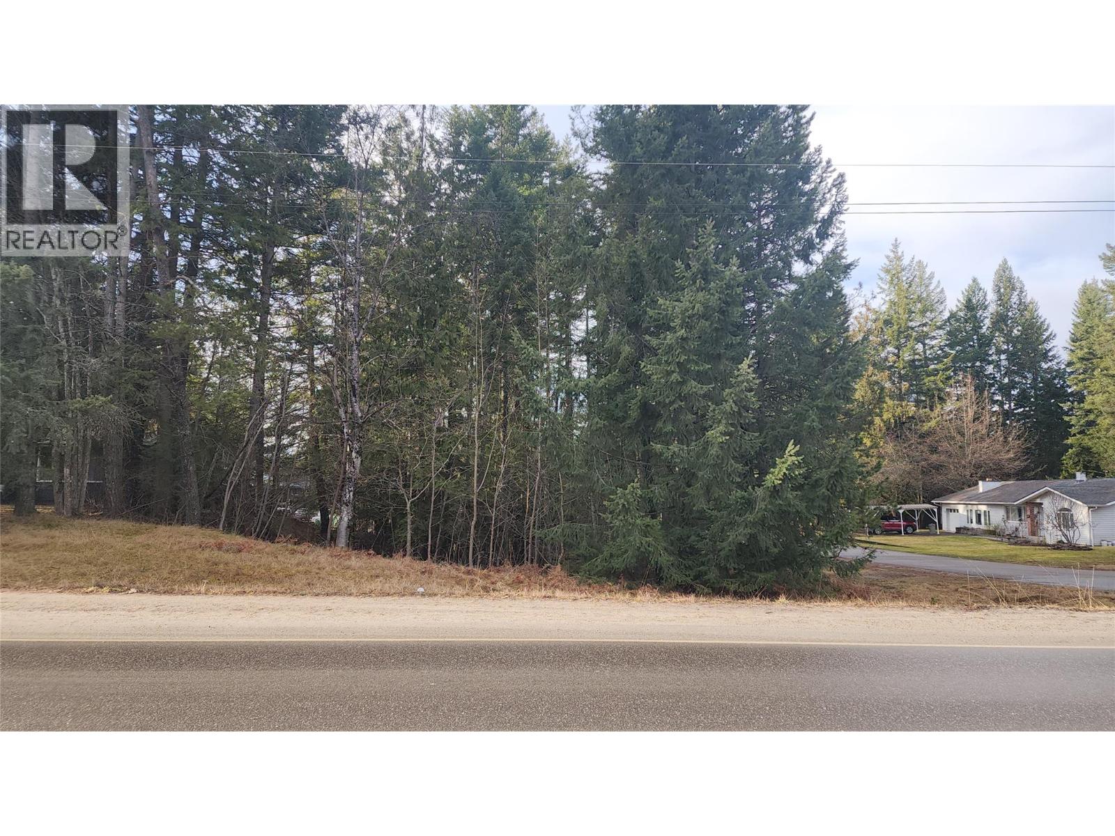 938 23 Highway, Nakusp, British Columbia  V0G 1R0 - Photo 3 - 10375492