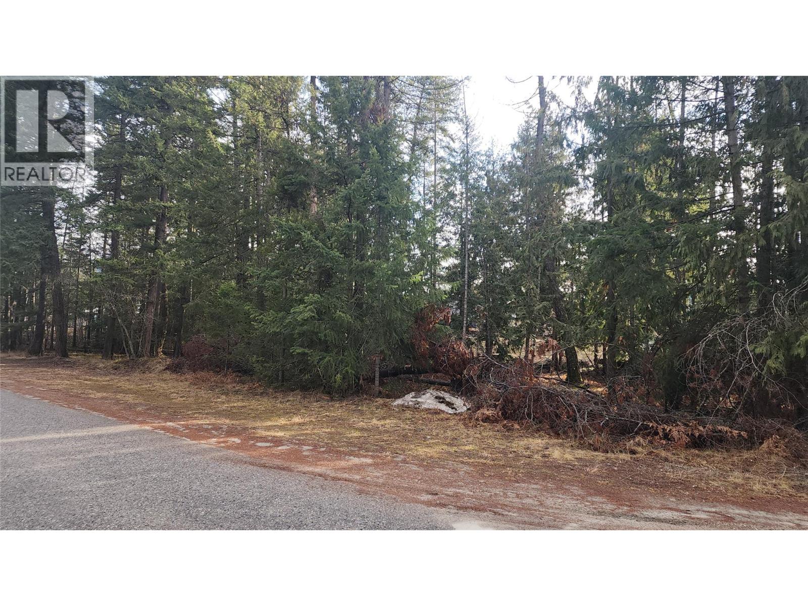 938 23 Highway, Nakusp, British Columbia  V0G 1R0 - Photo 4 - 10375492