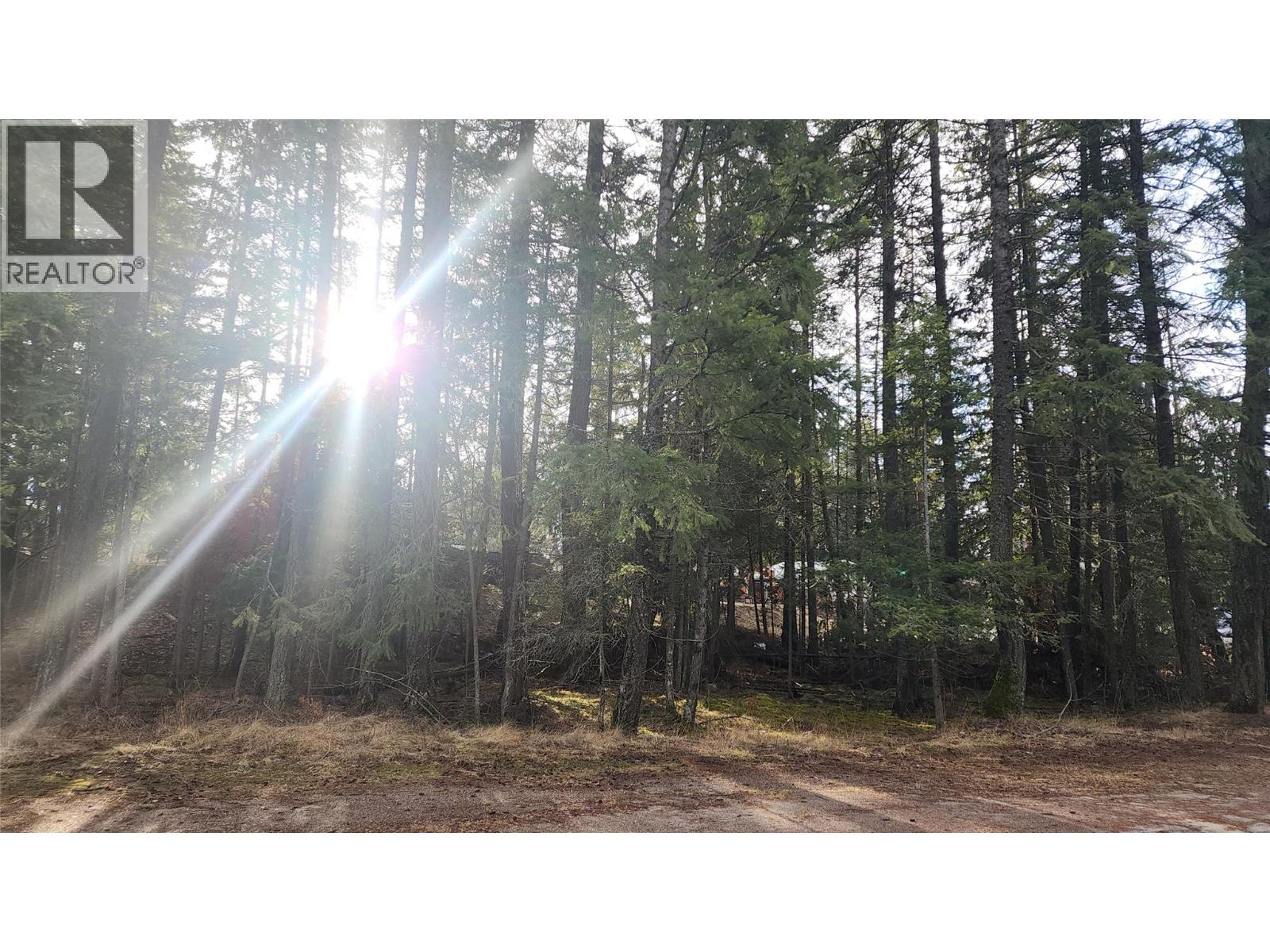 938 23 Highway, Nakusp, British Columbia  V0G 1R0 - Photo 5 - 10375492