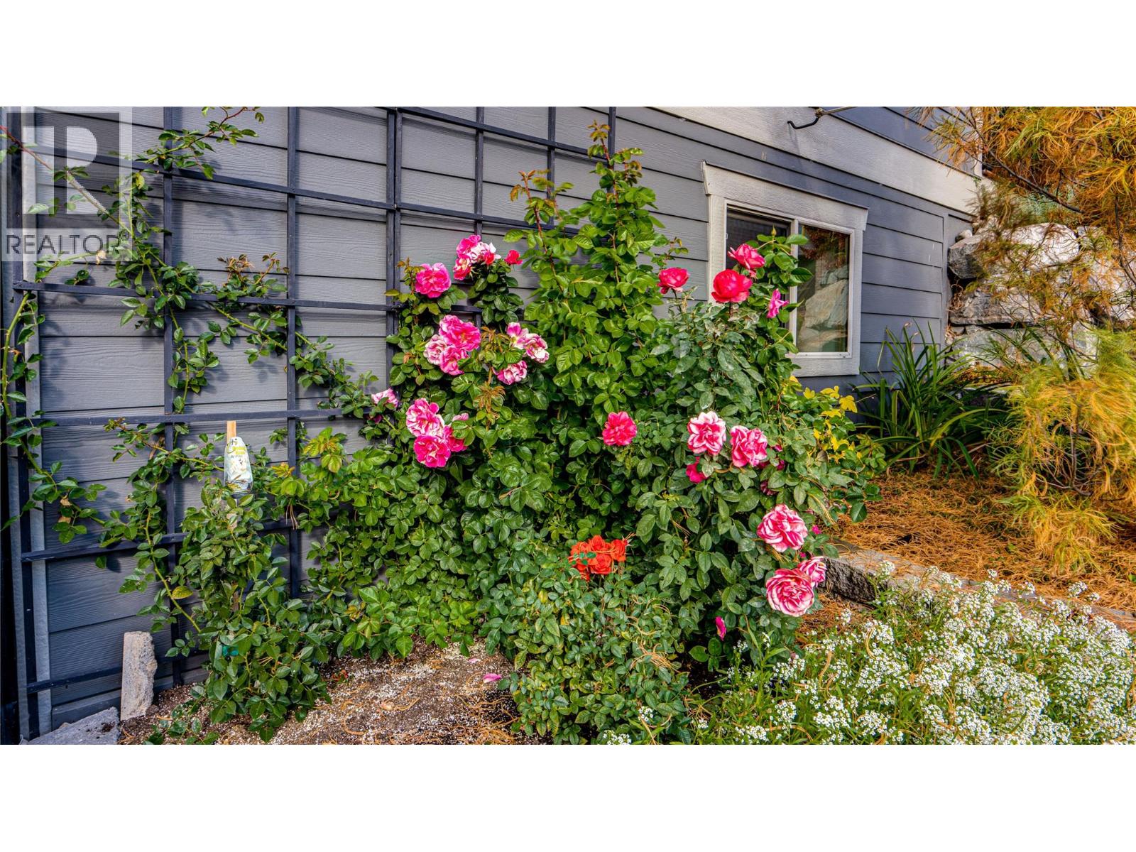 2990 20 Street Ne Unit# 33, Salmon Arm, British Columbia  V1E 3M4 - Photo 49 - 10375253
