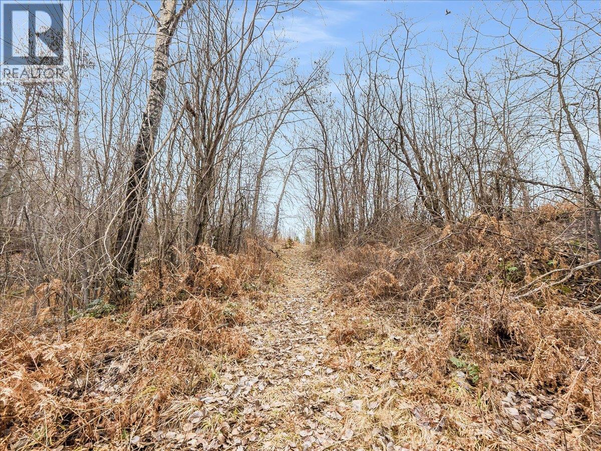 1220 37th Street, Castlegar, British Columbia  V1N 3N1 - Photo 11 - 10375216