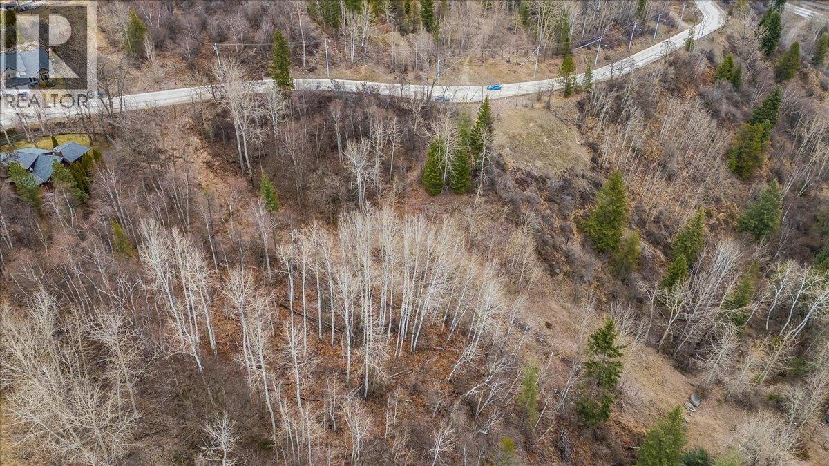 1220 37th Street, Castlegar, British Columbia  V1N 3N1 - Photo 22 - 10375216