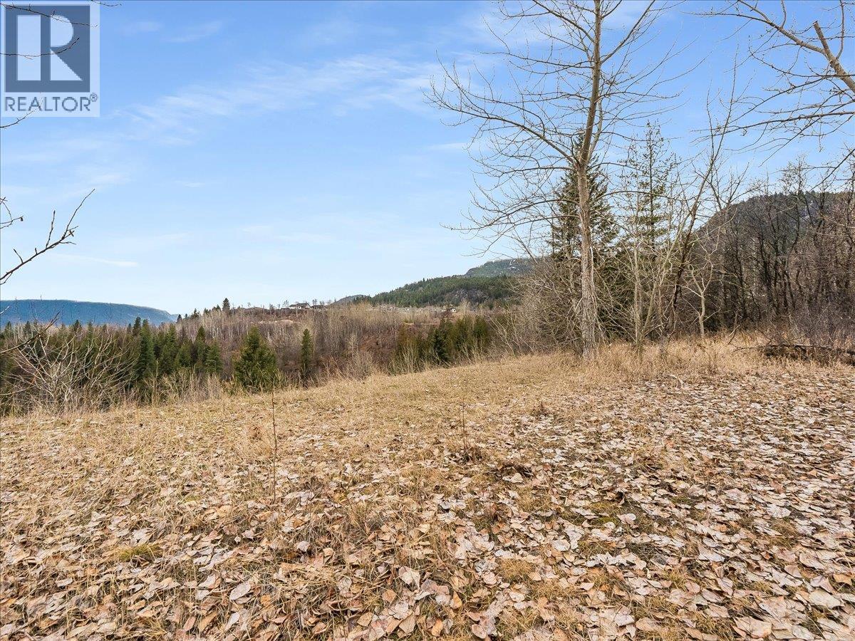 1220 37th Street, Castlegar, British Columbia  V1N 3N1 - Photo 9 - 10375216