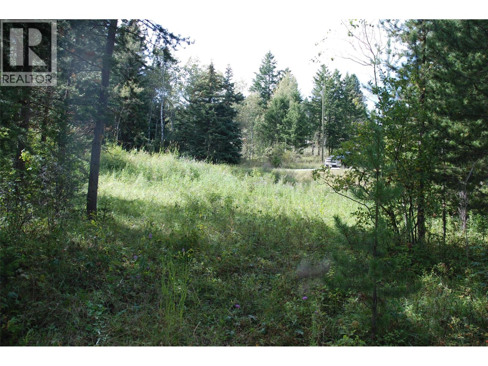 396 Wild Rose Drive, Merritt, British Columbia  V1K 1B8 - Photo 1 - 10375480