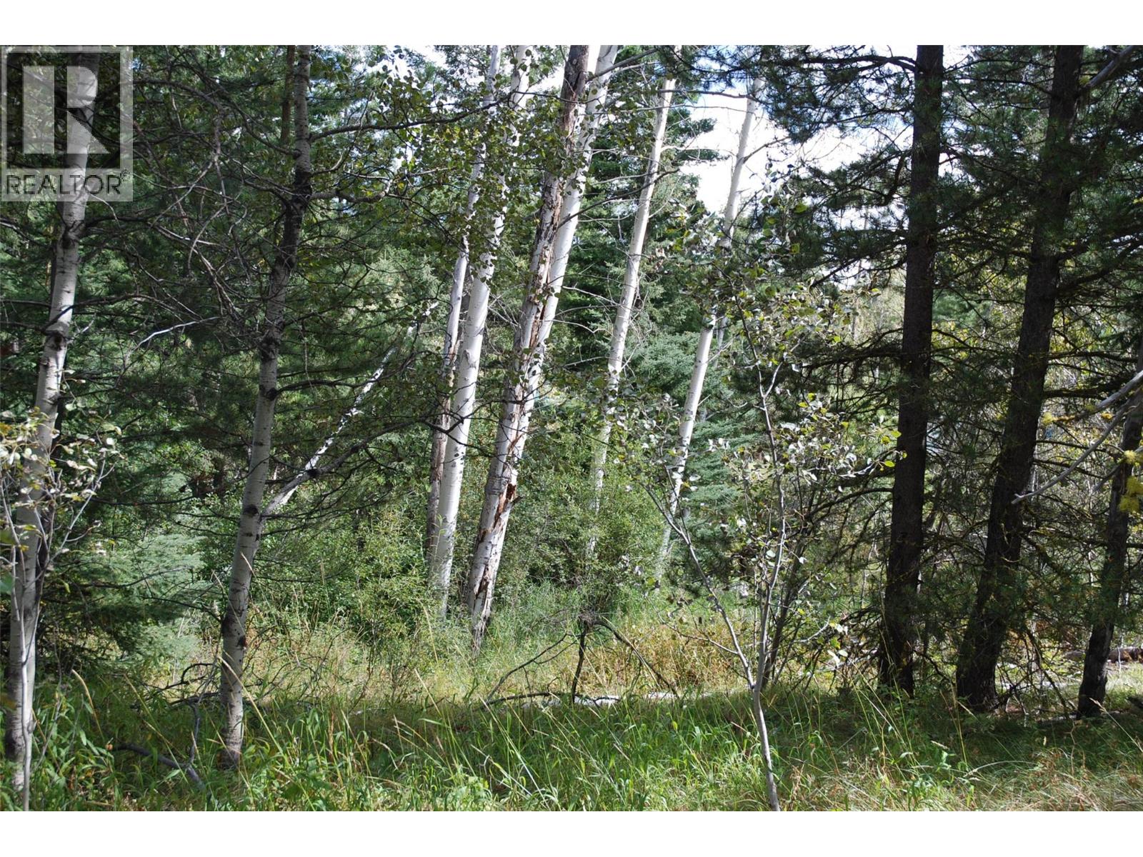 396 Wild Rose Drive, Merritt, British Columbia  V1K 1B8 - Photo 10 - 10375480
