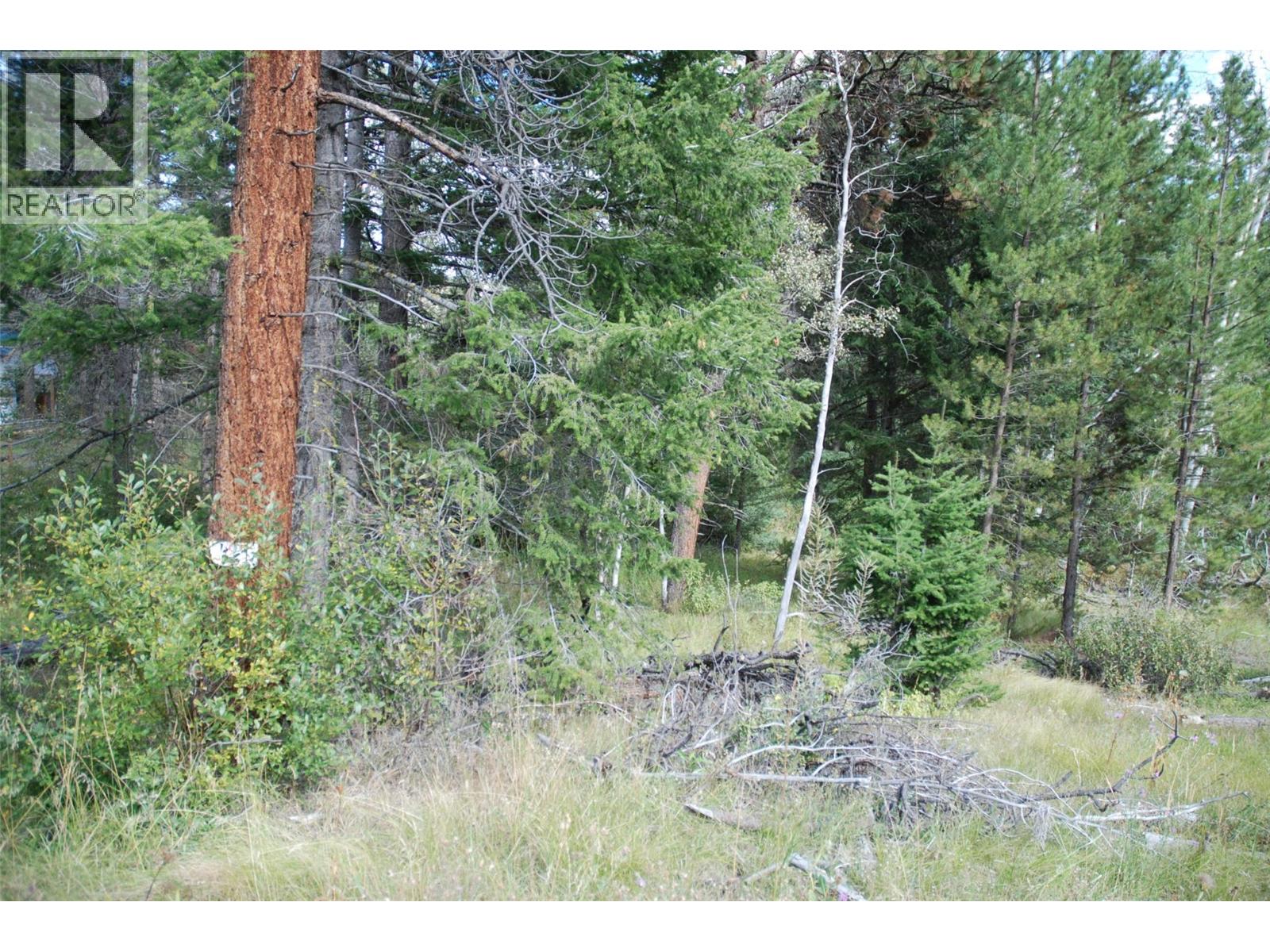 396 Wild Rose Drive, Merritt, British Columbia  V1K 1B8 - Photo 11 - 10375480