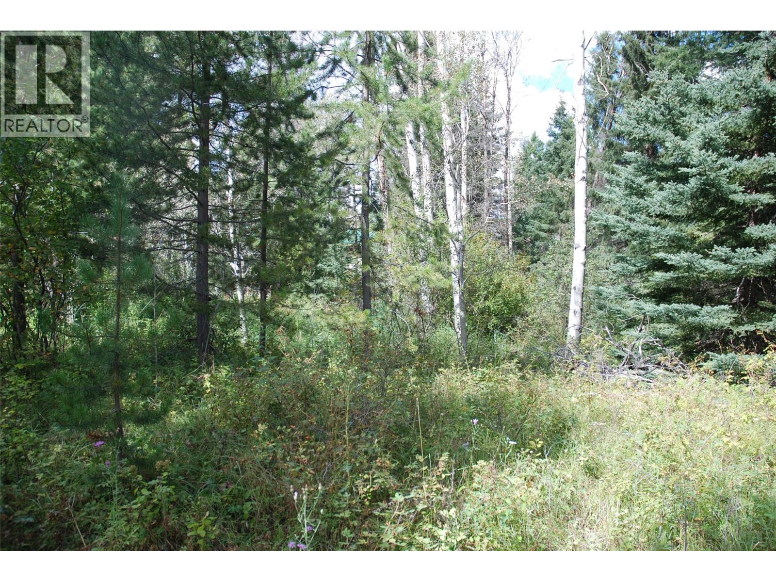 396 Wild Rose Drive, Merritt, British Columbia  V1K 1B8 - Photo 12 - 10375480
