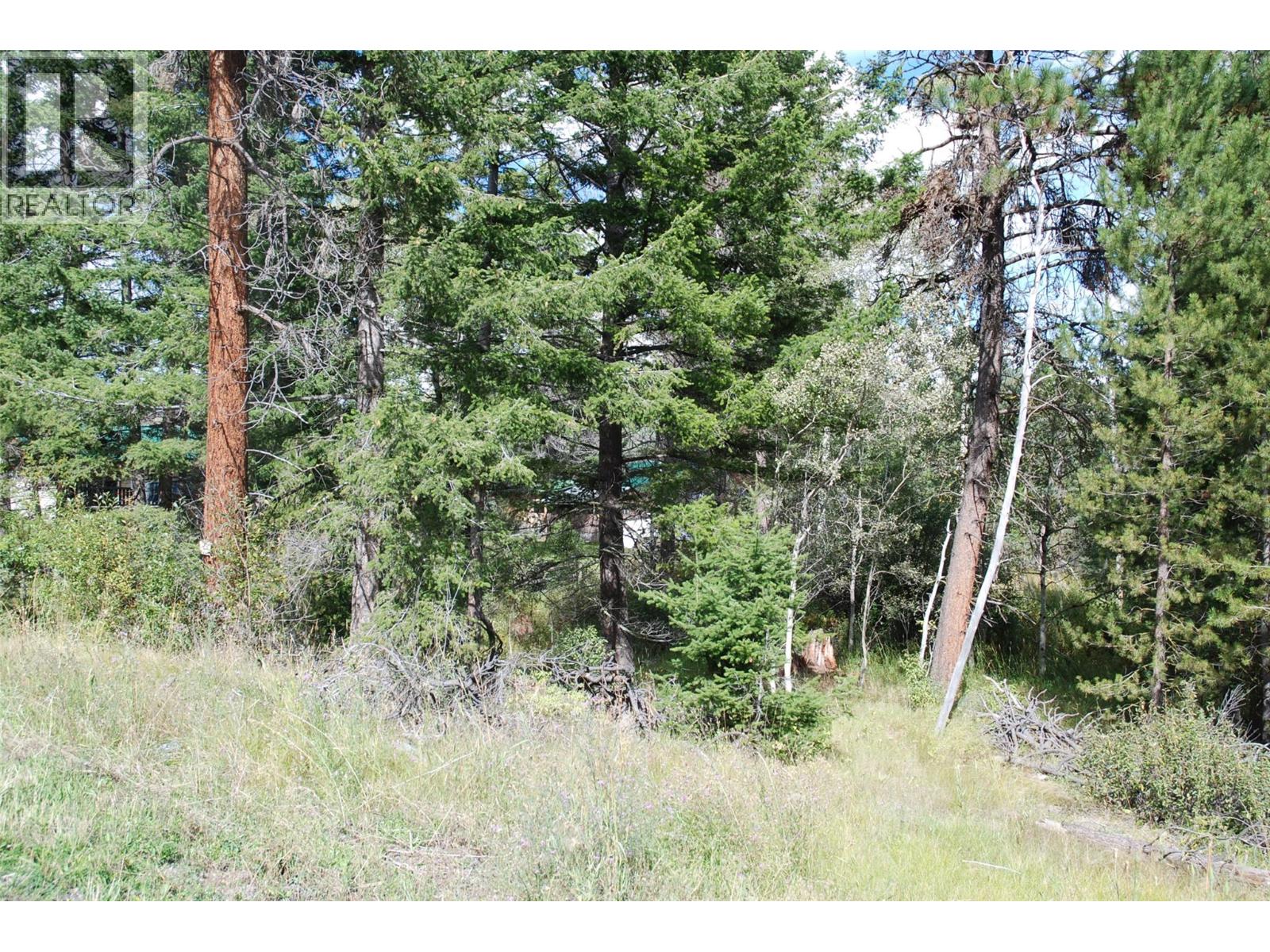 396 Wild Rose Drive, Merritt, British Columbia  V1K 1B8 - Photo 2 - 10375480